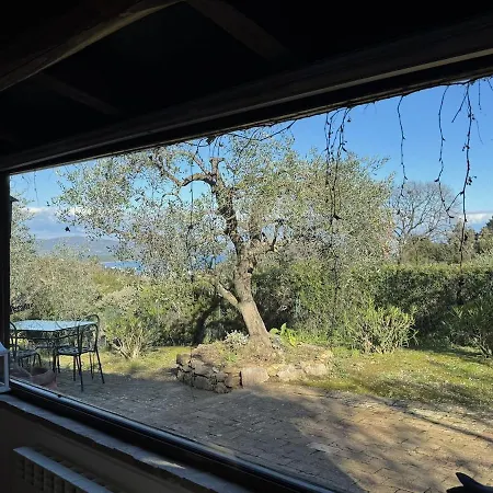 Seaview Garden House
